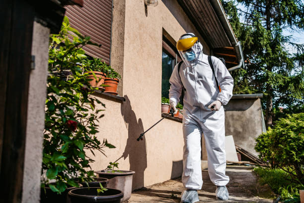 Best Pest Removal Services  in Benicia, CA