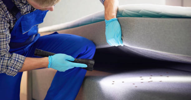 Best Local Pest Control Services  in Benicia, CA