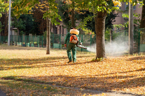 Best Commercial Pest Control Services  in Benicia, CA
